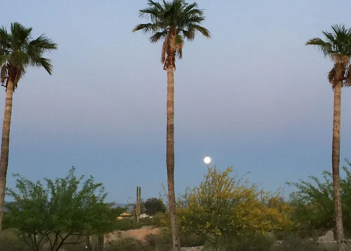 La Siesta & Rv Motel Ajo